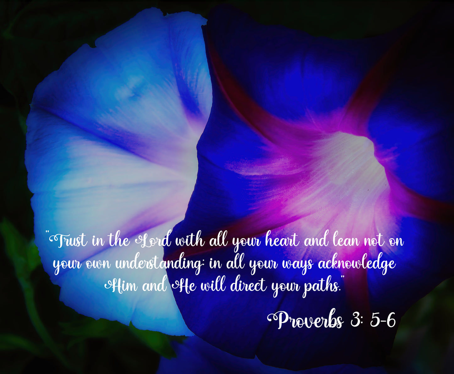 Morning Glory Blue Floral Canvas Wall Art With Proverbs 3: 5-6 Trust God