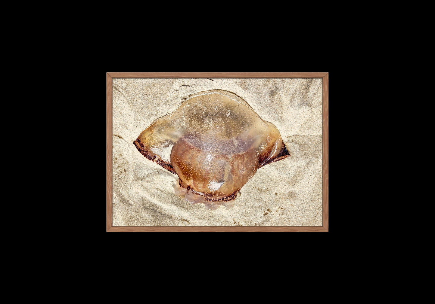 Gold Color Giant Jelly Fish Sealife Digital Print 2