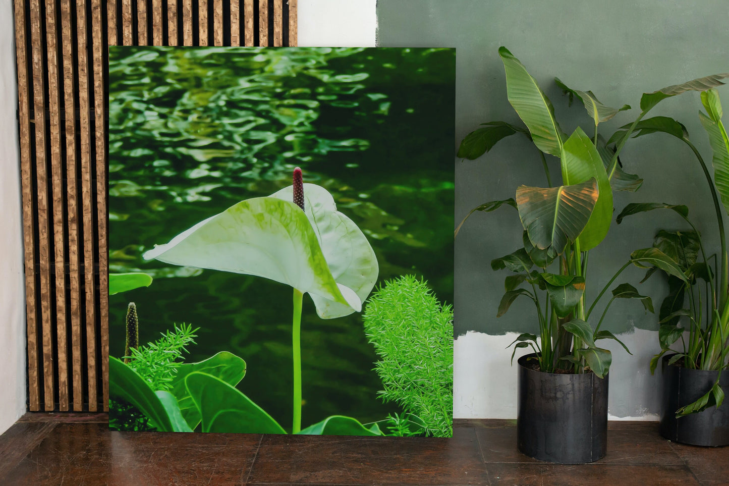 Peaceful White Anthurium Flower by River Digital Print