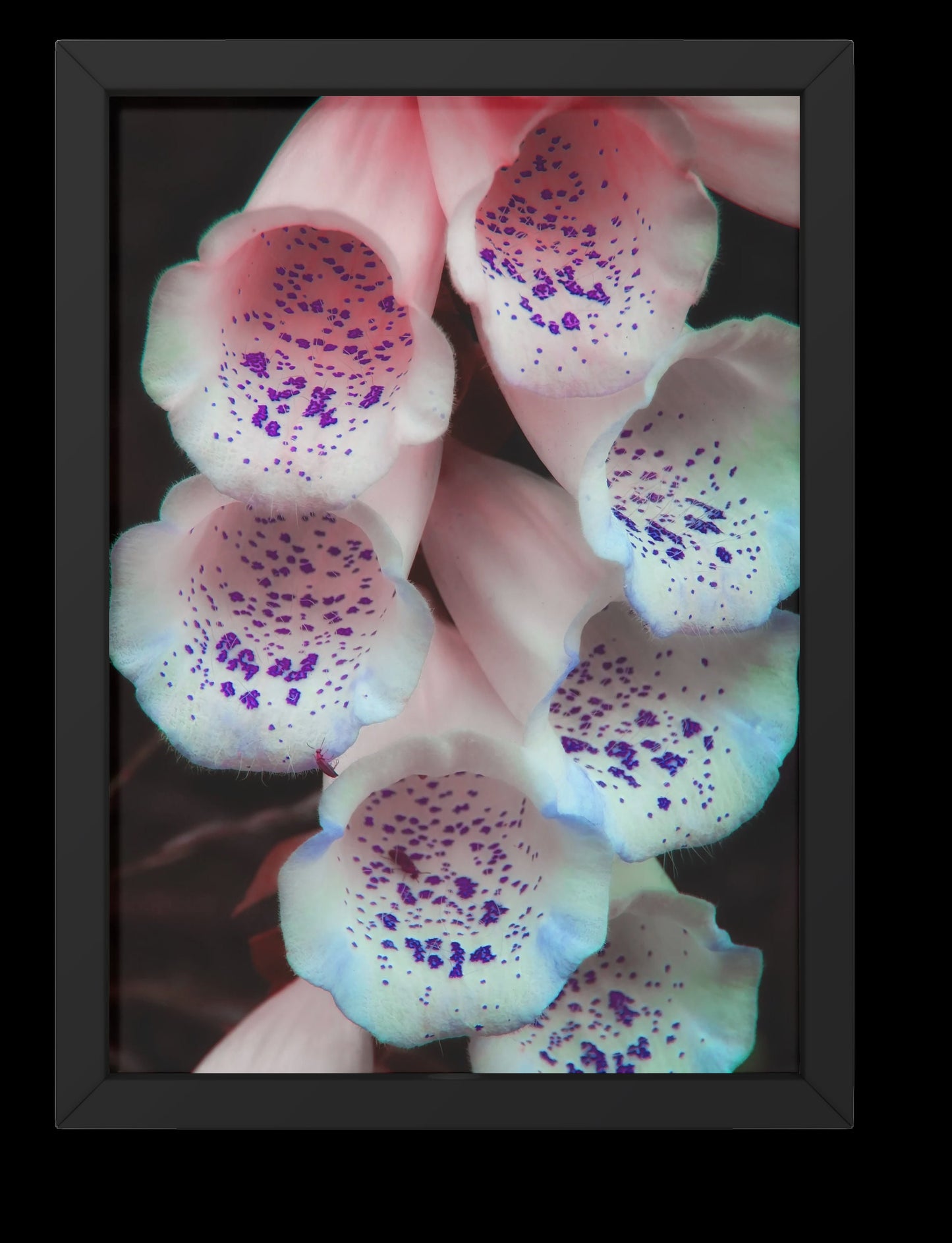 White Foxgloves With Purple Specks Floral Digital Prints
