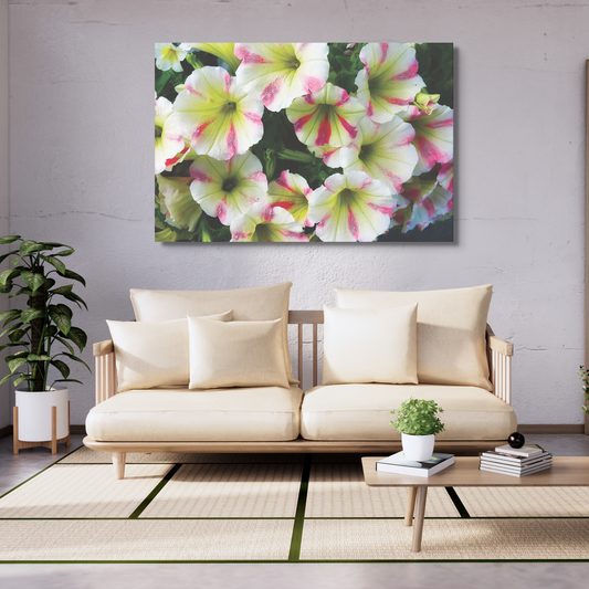 White Petunias With Pink Stripes Floral Digital Print