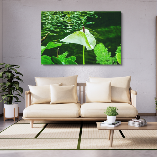 Peaceful White Anthurium Flower by River Digital Print
