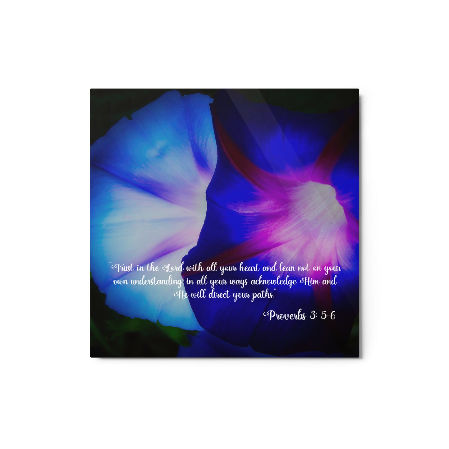 Morning Glory Flowering Proverbs 3 5 6 Wall Art Flower Wall Metal Arts Print