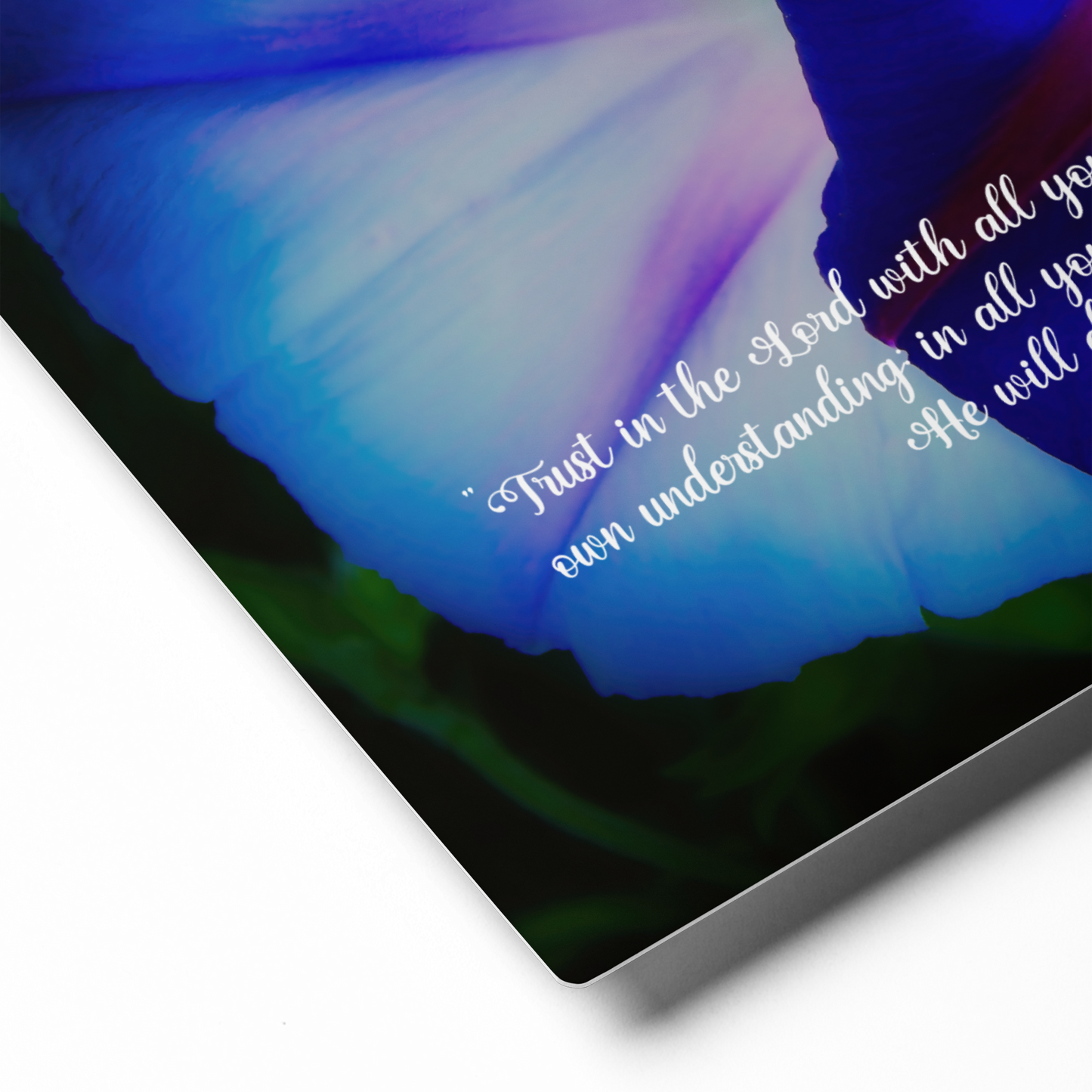 Morning Glory Flowering Proverbs 3 5 6 Wall Art Flower Wall Metal Arts Print