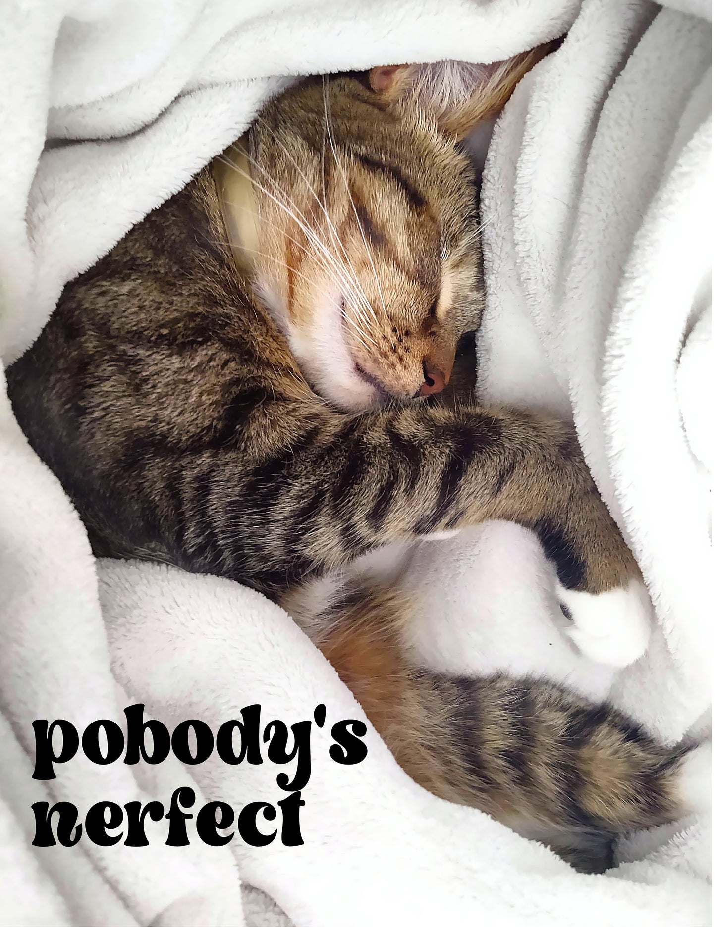 "Pobody's Nerfect" Cute Sleeping Cat Digital Art Print