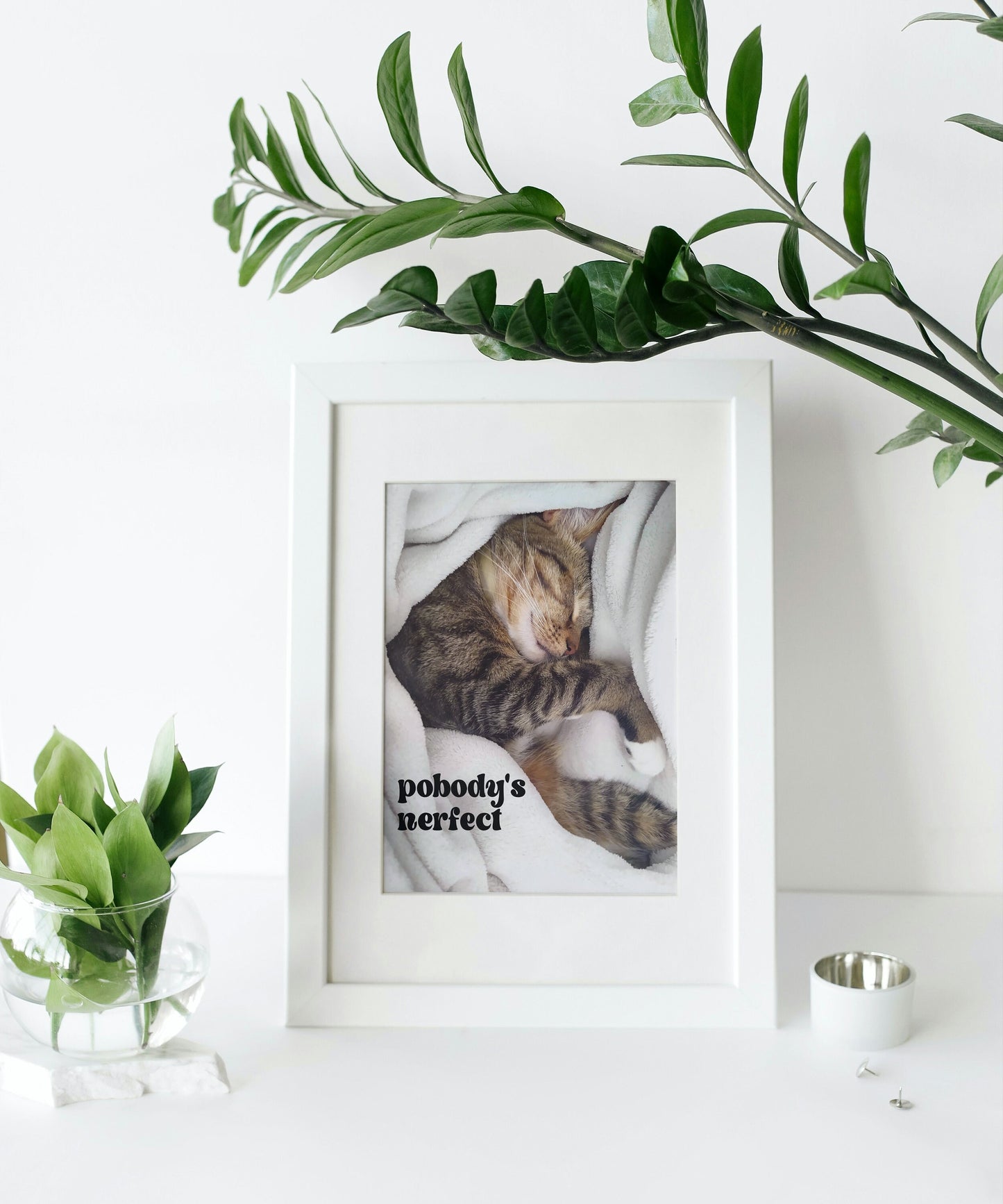 "Pobody's Nerfect" Cute Sleeping Cat Digital Art Print