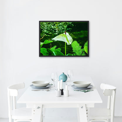 Peaceful White Anthurium Flower by River Digital Print