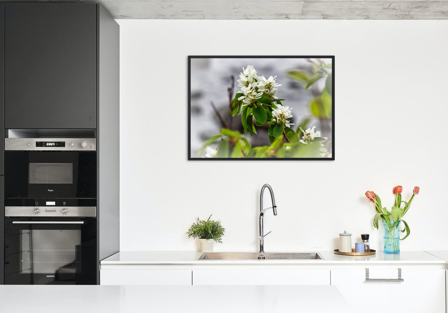 White Juneberry Serviceberry Floral Digital Print
