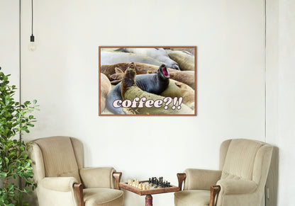 Elephant Seals at San Simeon California "Coffee" Quotes Coastal Digital Print