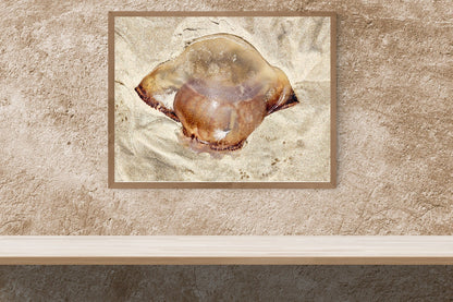 Gold Color Giant Jelly Fish Sealife Digital Print 2