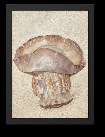 Gold Color Giant Jelly Fish Sealife Digital Print