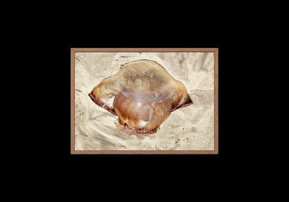 Gold Color Giant Jelly Fish Sealife Digital Print 2