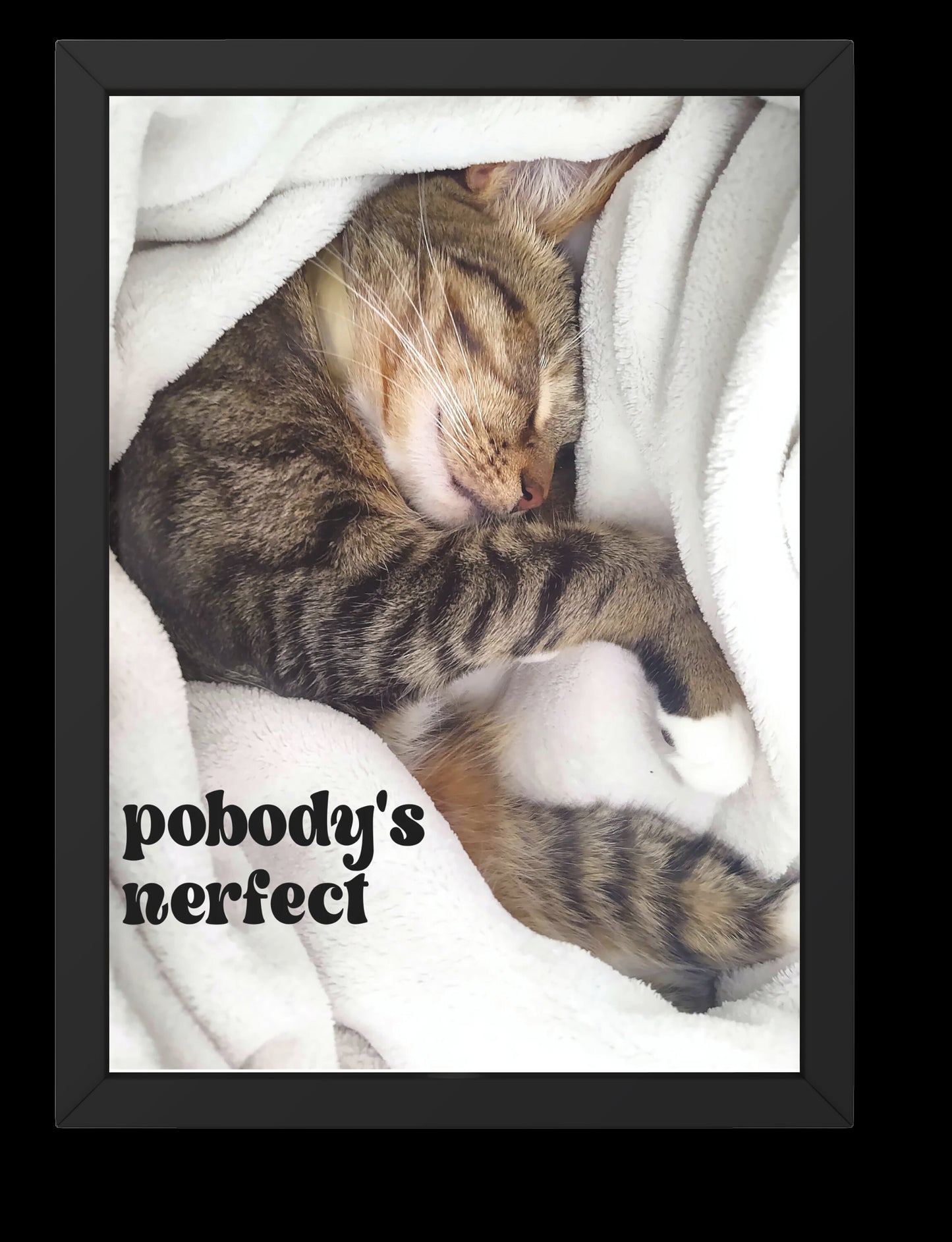 "Pobody's Nerfect" Cute Sleeping Cat Digital Art Print