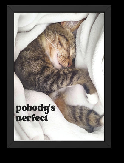 "Pobody's Nerfect" Cute Sleeping Cat Digital Art Print