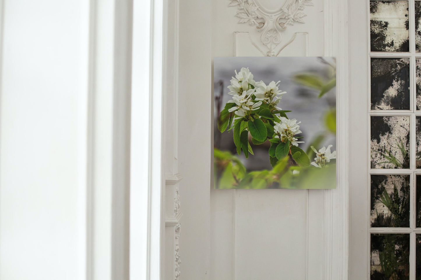 White Juneberry Serviceberry Floral Digital Print
