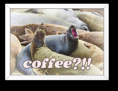 Elephant Seals at San Simeon California "Coffee" Quotes Coastal Digital Print