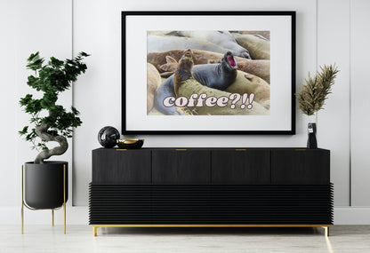 Elephant Seals at San Simeon California "Coffee" Quotes Coastal Digital Print