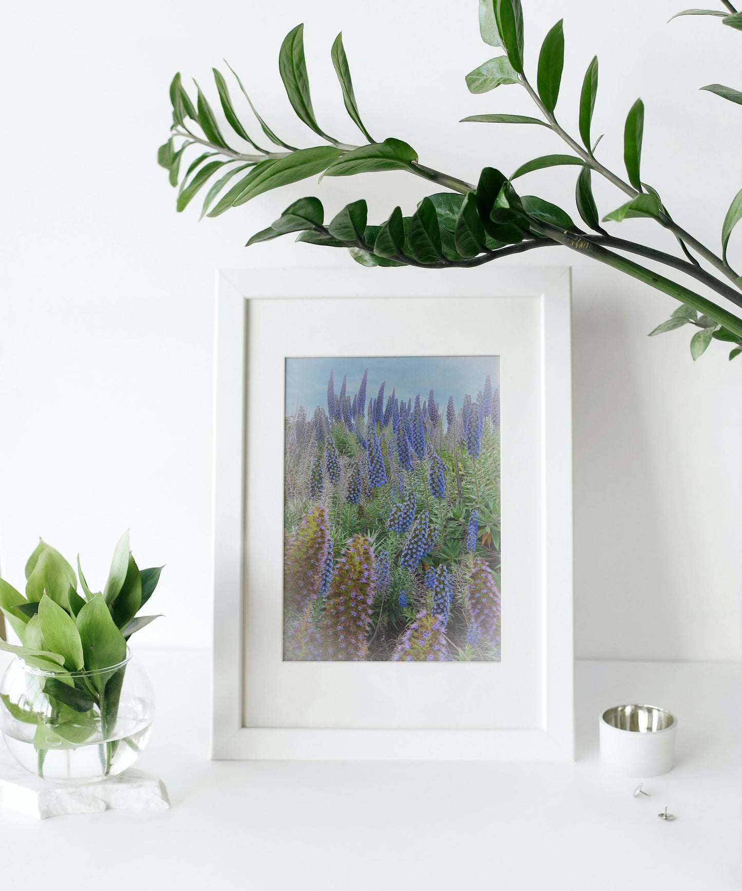 Beautiful Field of Boraginaceae Blue Flowers Digital Print