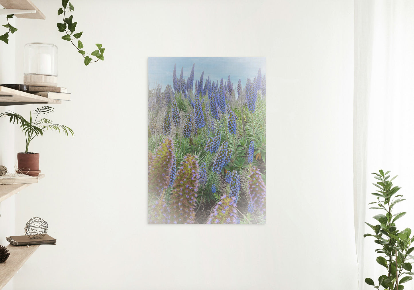 Beautiful Field of Boraginaceae Blue Flowers Digital Print
