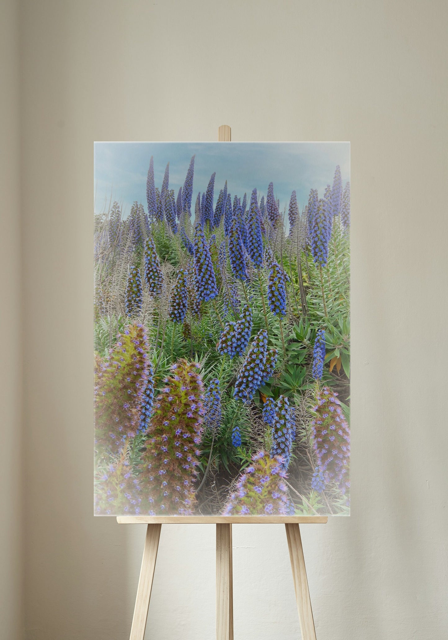 Beautiful Field of Boraginaceae Blue Flowers Digital Print