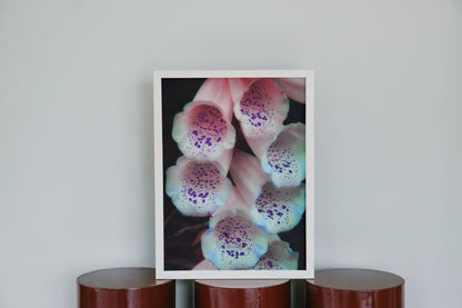 White Foxgloves With Purple Specks Floral Digital Prints