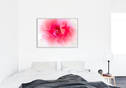 Raindrops on Coral Pink Roses Floral Digital Print