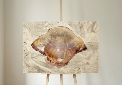 Gold Color Giant Jelly Fish Sealife Digital Print 2