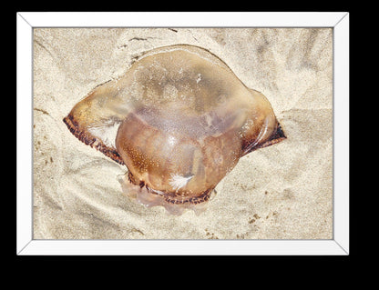 Gold Color Giant Jelly Fish Sealife Digital Print 2