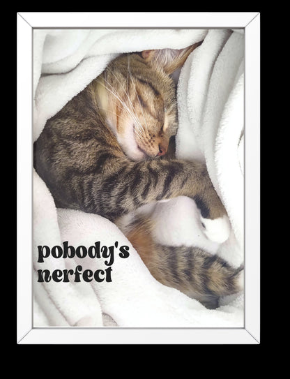 "Pobody's Nerfect" Cute Sleeping Cat Digital Art Print